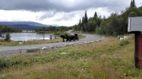 Bergfosshytta 1 sør